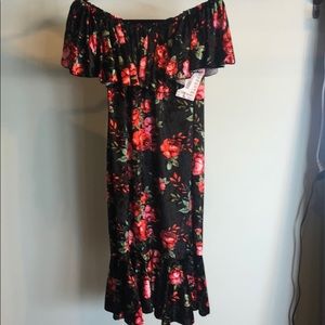 NWT LLR Large CiCi dress